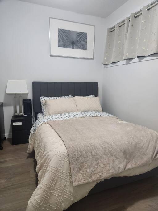 Modern 2 Bedroom Basement Suite At West 埃德蒙顿 外观 照片
